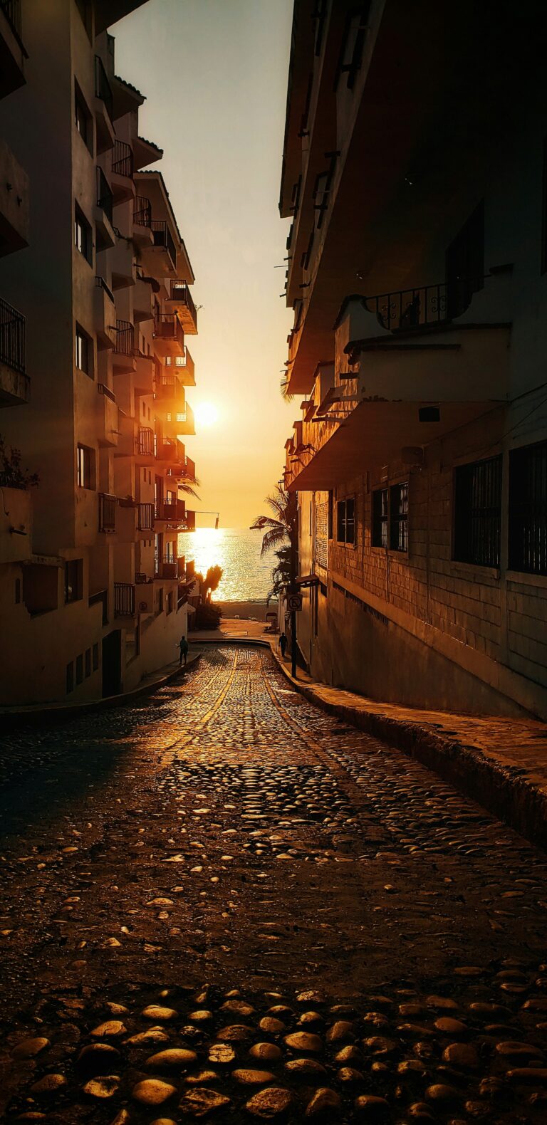 Discovering Puerto Vallarta A Blend of Tradition, Adventure, and Coastal Charm_5